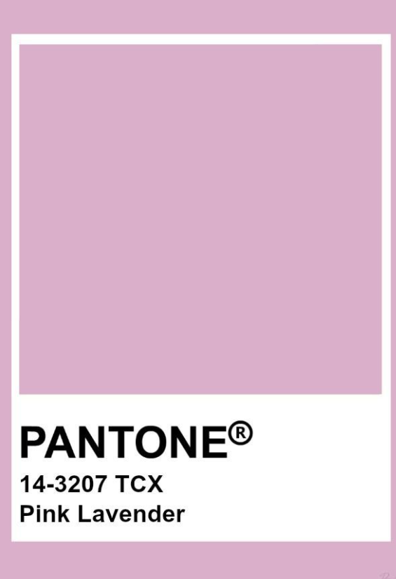 Skimpy Bikini Bottom - Pink Lavender