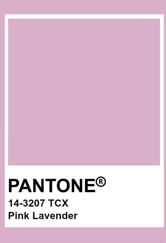 String Bikini Bottom - Pink Lavender