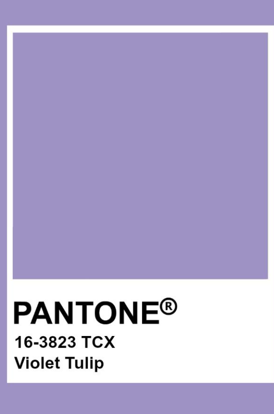 Open Side Bikini Bottom - Violet Tulip